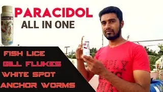 How to Prevent your Fish from Fungal Disease and External Parasites | Fish aquarium dinesh