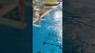 201b Diving Video