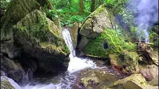 Solo Bushcraft in the tropical forest. Build shelter under the stream waterfall | Ep.26