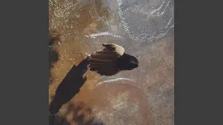 Monsoon
