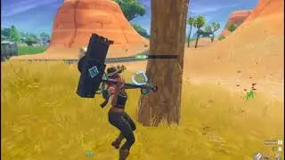 Fortnite POG Custom Game Win
