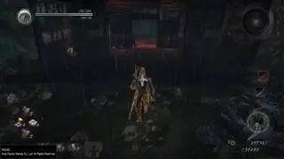 Nioh glitch fail