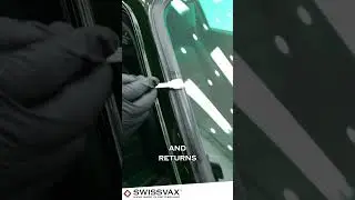 Expert Tips for Maintaining and Rubber Care with Swissvax Seal Feed