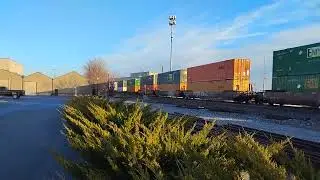 UP5394 Leads Z-LCG209!