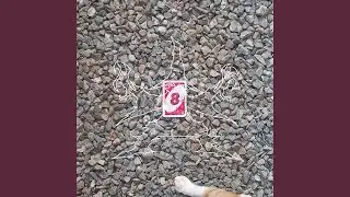 K9 Demo