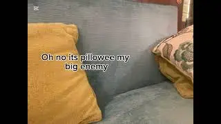 pillow fight