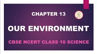 Our Environment | Chapter 13 | Class 10 | Science | in Tamil | CBSE NCERT