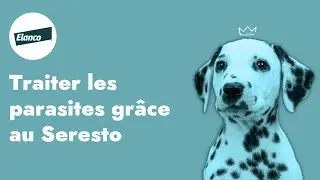 [ELANCO] TRAITEMENT ANTIPARASITAIRES AVEC SERESTO