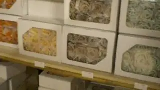 fiori stabilizzati cosa sono
