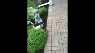 Patio, Walkway & Retaining Wall Relays and Fixes