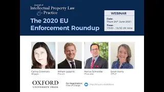 2020 EU Enforcement Roundup
