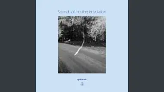 A New Kind Of Quiet