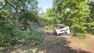 Let&rsquo;s Mulch some fallen trees