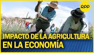 ¿Cuál es el impacto de la agricultura en la economía de nuestro país?