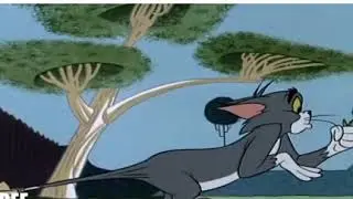 Bank Loan Users vs KreditBee Users