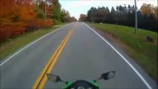 Are Cruiser Motorcycles More Mature?