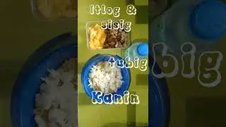 Mark Vincent Alvarez      BSP-1203                    Feeding Stray Dog      (ITP Final Project)