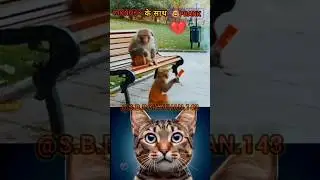 बंदर ke 😱साथ prank 🤗#shorts #youtubeshorts #cat #monkey #catvideos #animals #funnyvideo #funnyshorts