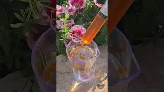 From juice to caviar. Molecular gastronomy A working spherification recipe #food #cuisine #chemistry