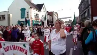 Tullamore 2009 fleadh cheoil parade
