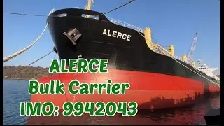 ALERCE Bulk Carrier (IMO: 9942043)
