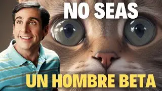 👉Descifrando al Hombre Beta. Caracter&iacute;sticas y H&aacute;bitos Explicados.