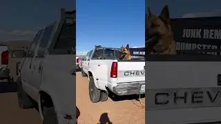 ジロー loves OBS dually #dog #obs #c3500 #犬 #アメリカ
