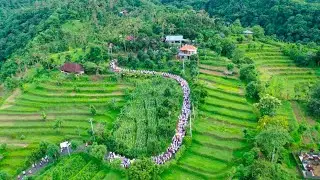 Mekiis ceremony, Pedawa Bali