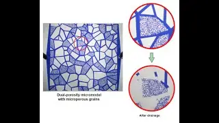 Drainage process in a dual-porosity micromodel