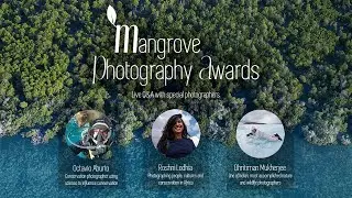The UN Decade on Ecosystem Restoration // Mangrove Photography Awards 2021 // Q&A