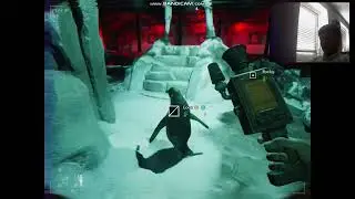 penguins are cute (ZOOCHOSIS PART 4)