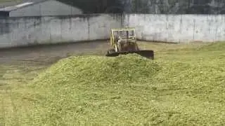 sklápění na jámě