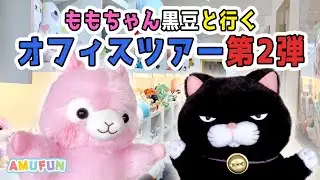 アミューズファン必見！？アミューズオフィス紹介第２段