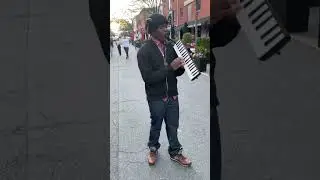 humiliation ritual 😂 #musichumor #melodica #funny #jazz #giantsteps