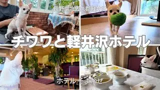 【バースデー旅行】クスッと笑えるチワワの可愛い旅行はこちらです//軽井沢・そよかぜ・40代夫婦のVlog
