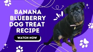 Banana Blueberry Dog Treats 2025