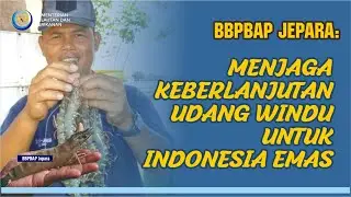 BBPBAP Jepara: Menjaga Keberlanjutan Udang Windu untuk Indonesia Emas