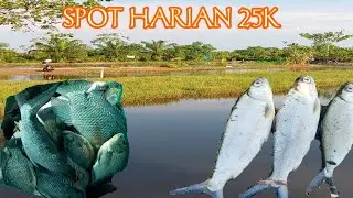 Spot mancing harian di bagan percut kolam nobon