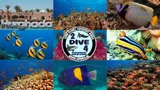 BrotherDive 2014 Scuba diving with 'Tauchen unter Freunden' Red Sea Hurghada Egypt (FULL HD)
