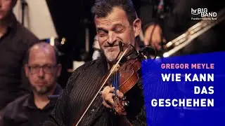 Gregor Meyle: 