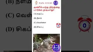 General Knowledge Questions and Answers in Tamil | பொது அறிவு வினா விடை | GK | PAPA STUDY GK #shorts