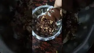 chocolate muesli with coconut milk
