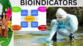 Bioindicators and it’s Examples || Bioindicators species 