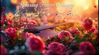 Relaxing Flower Scenery 🌷 | Gentle Piano Music | Study, Sleep & Relax #relaxing #flowers  #music
