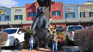 Three Bears General Store Tour w/ BEAR FEEDING - Pigeon Forge, TN