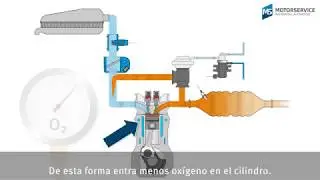La recirculaci&oacute;n de los gases de escape (EGR) explicada de forma sencilla