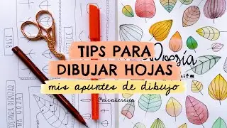 APUNTES DE DIBUJO FÁCIL 🍂 CÓMO DIBUJAR HOJAS DE ÁRBOLES Y PLANTAS 🌿 IDEAS Y TIPS PARA DIBUJAR HOJAS