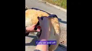 The best Knee Brace for Dogs 2025 (Double Knee Brace) by TAILWINDPETS
