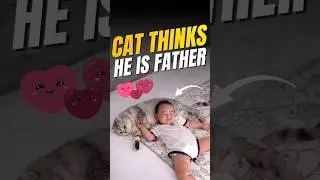 ഈ പൂച്ച കുട്ടിയുടെ അച്ഛനാണെന്ന് കരുതുന്നു 😂 this cant thinks he is the father #tamil #trend #viral