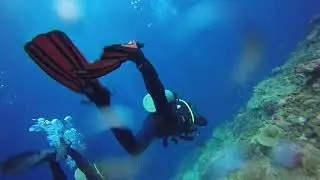 Bali Nusa Penida Crystal Bay Dive 19 Aug 2023